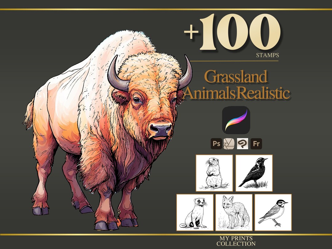 Grassland Realistic Animals Procreate Stamps & Photoshop Brushes – 100 ...