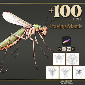 May include: An illustration of a praying mantis with a green body, orange and tan legs, and white wings. The image includes the text "+100 STAMPS Praying Mantis" and several insect design stamps. The background is dark grey.