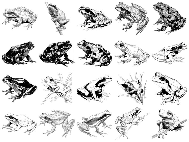 Frog Pet Realistic Photoshop Brushes & Procreate Stamps – 100+ Tattoo ...