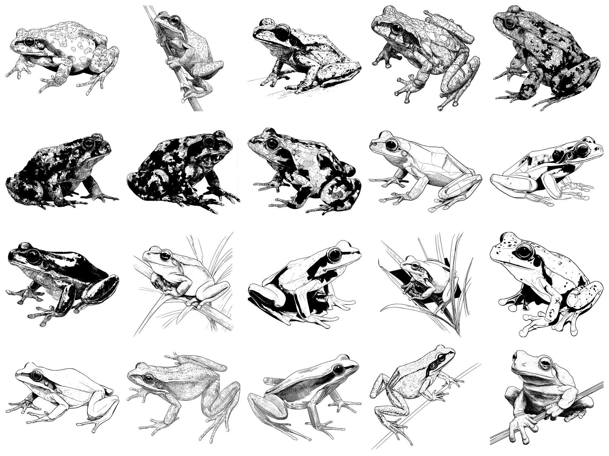Frog Pet Realistic Photoshop Brushes & Procreate Stamps – 100+ Tattoo ...