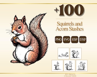 May include: A digital graphic collection featuring a large illustration of a brown squirrel holding an acorn. The text reads +100 Squirrels and Acorn Stashes, PNG, SVG, ESP, DXF, and My Prints Collection, with five smaller black and white squirrel icons.