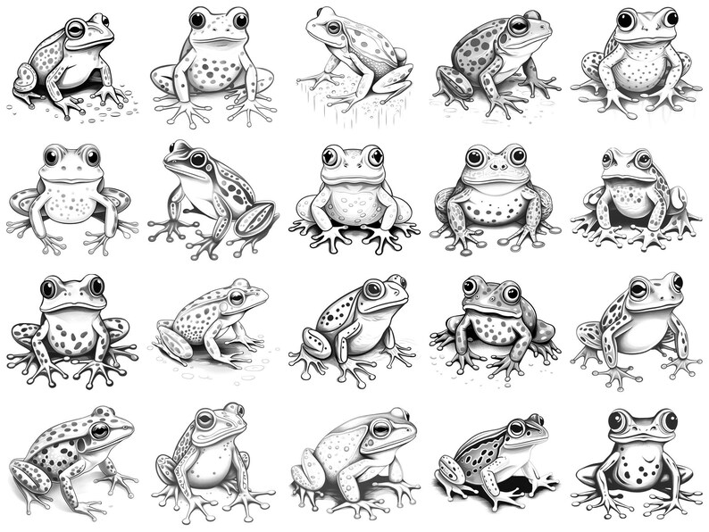 Frog Procreate Stamps & Photoshop Brushes – 100+ Realistic Animal Pet ...