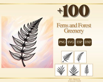 Ferns and Forest Greenery PNG Clipart, 100+ Forest Fern & Greenery Transparent Digital Download, Botanical Commercial Use SVG EPS Dxf
