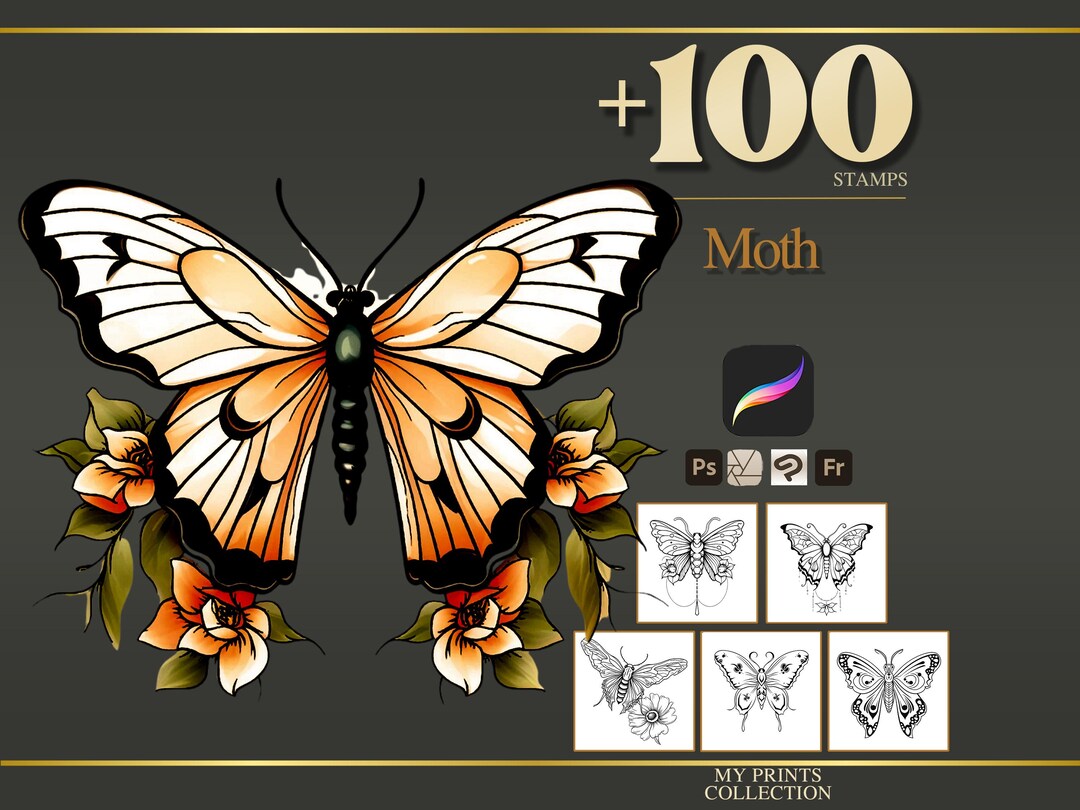 Moth Procreate Stamps & Photoshop Brushes – 100+ Tattoo Realistic ...