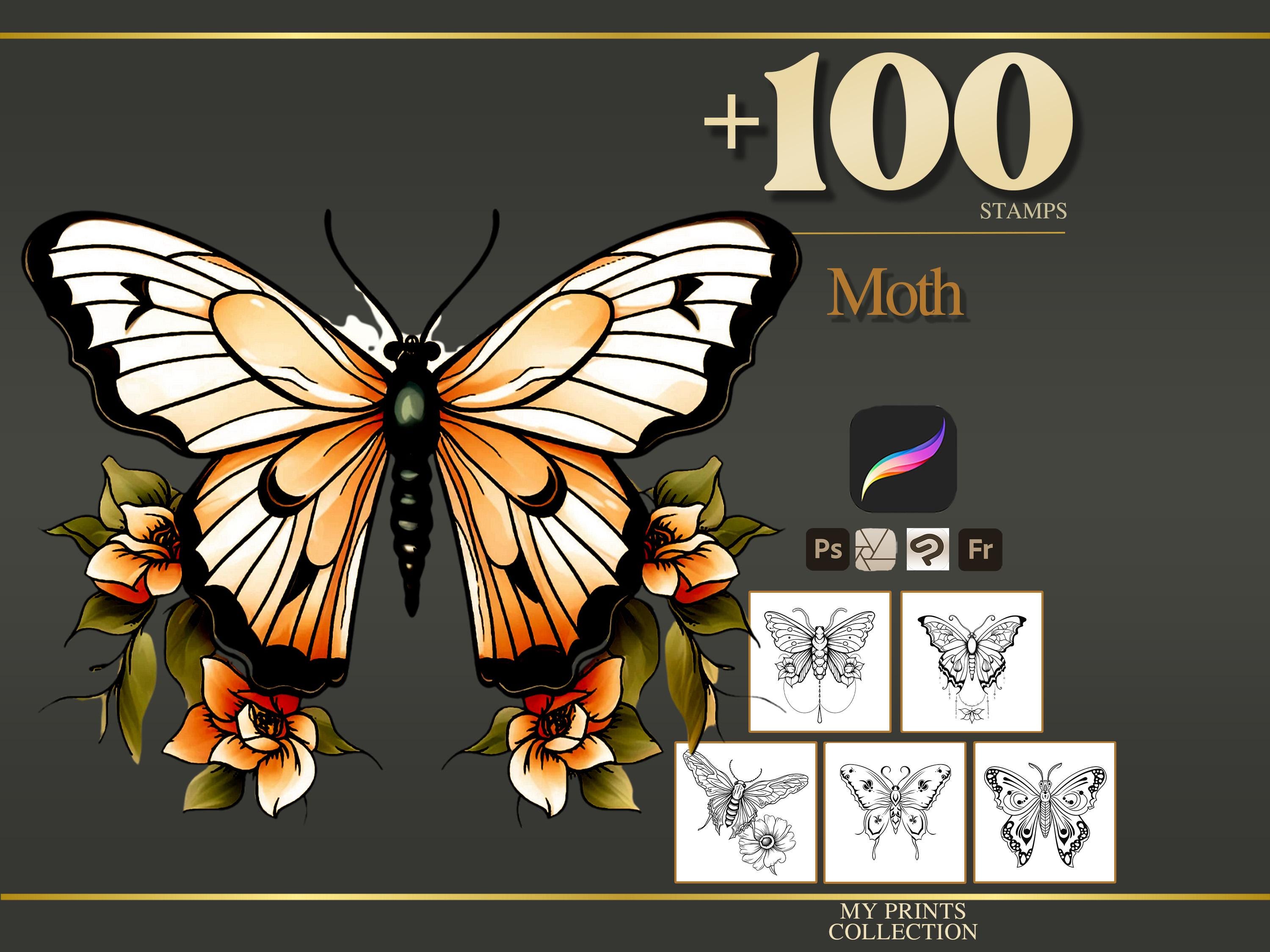 Moth Procreate Stamps & Photoshop Brushes – 100+ Tattoo Realistic ...