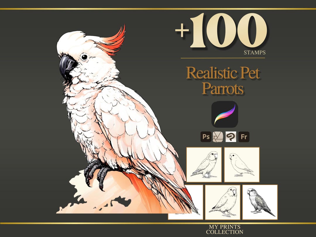 Parrots Pet Realistic Procreate Stamps & Photoshop Brushes – 100 ...