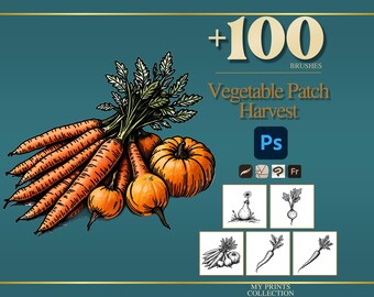 May include: A digital collection of over 100 vegetable patch harvest brushes for Photoshop, featuring an illustration of orange carrots and pumpkins on a teal background with the text +100 BRUSHES, Vegetable Patch Harvest, and software icons.
