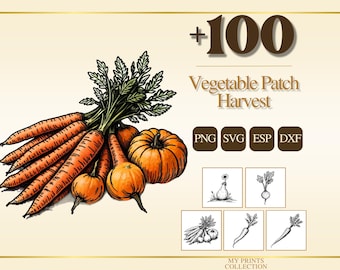 May include: A digital illustration of orange carrots with green tops and orange pumpkins. The text reads +100 Vegetable Patch Harvest, PNG, SVG, ESP, DXF, and MY PRINTS COLLECTION. Five smaller black and white line art vegetable icons are included.