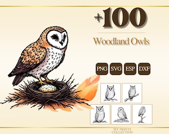 May include: A digital graphic collection featuring 100 Woodland Owls in PNG, SVG, ESP, and DXF formats. The main image shows a brown and white barn owl perched on a dark nest with a speckled egg, accompanied by smaller black and white owl illustrations.