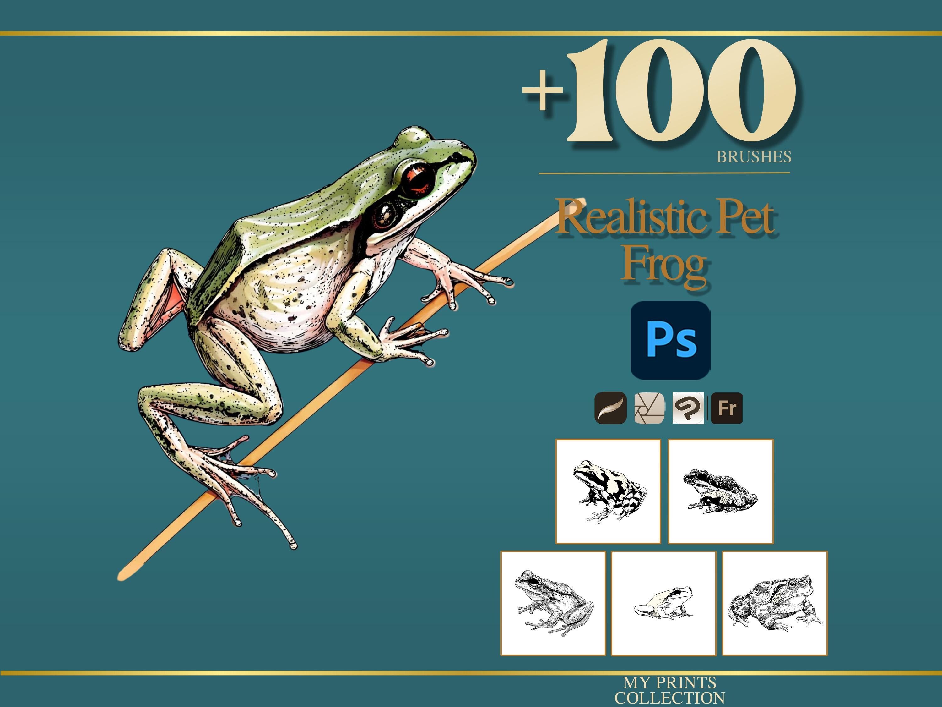 Frog Pet Realistic Photoshop Brushes & Procreate Stamps – 100+ Tattoo ...