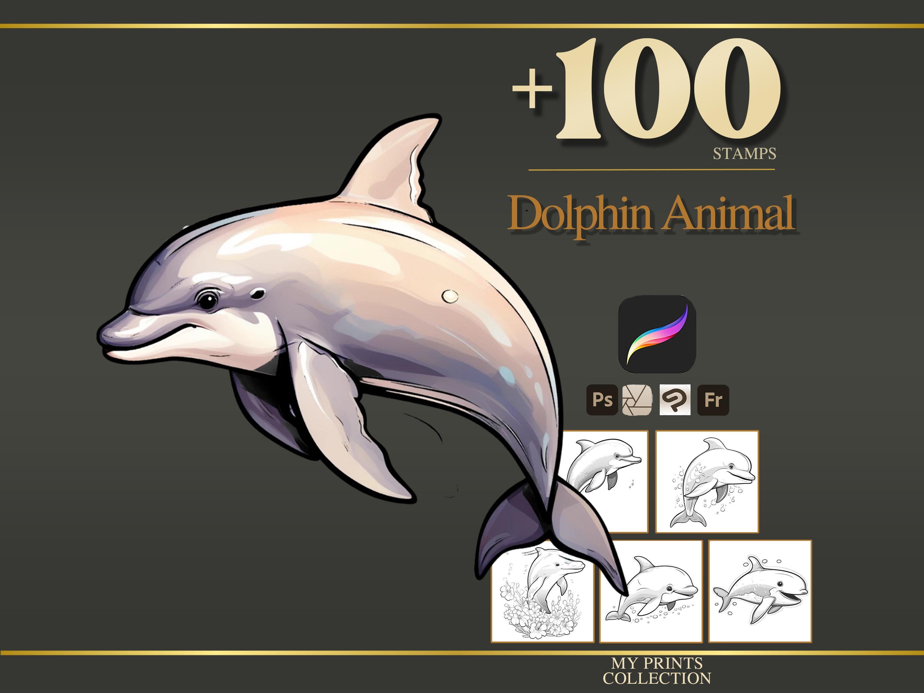 Dolphin Procreate Stamps & Photoshop Brushes – 100+ Realistic Animal ...