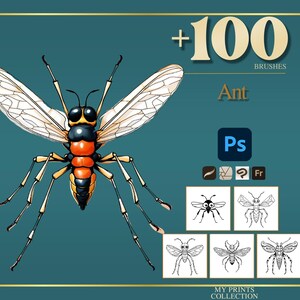 May include: Digital art print featuring a detailed illustration of an ant with orange, black, and yellow coloring, and transparent wings. The image includes the text "+100 BRUSHES Ant" and Photoshop icons, set against a teal background.