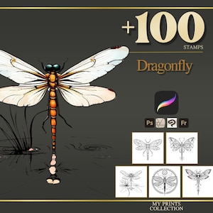 Dragonfly Procreate Stamps & Photoshop Brushes – 100+ Tattoo Realistic Insect Bug, Illustration, Line Art, Stencil, Brush Pack