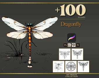 Libelle Procreate Stempel & Photoshop Pinsel - 100+ Tattoo Realistischer Insekten Käfer, Illustration, Line Art, Schablone, Pinselpaket
