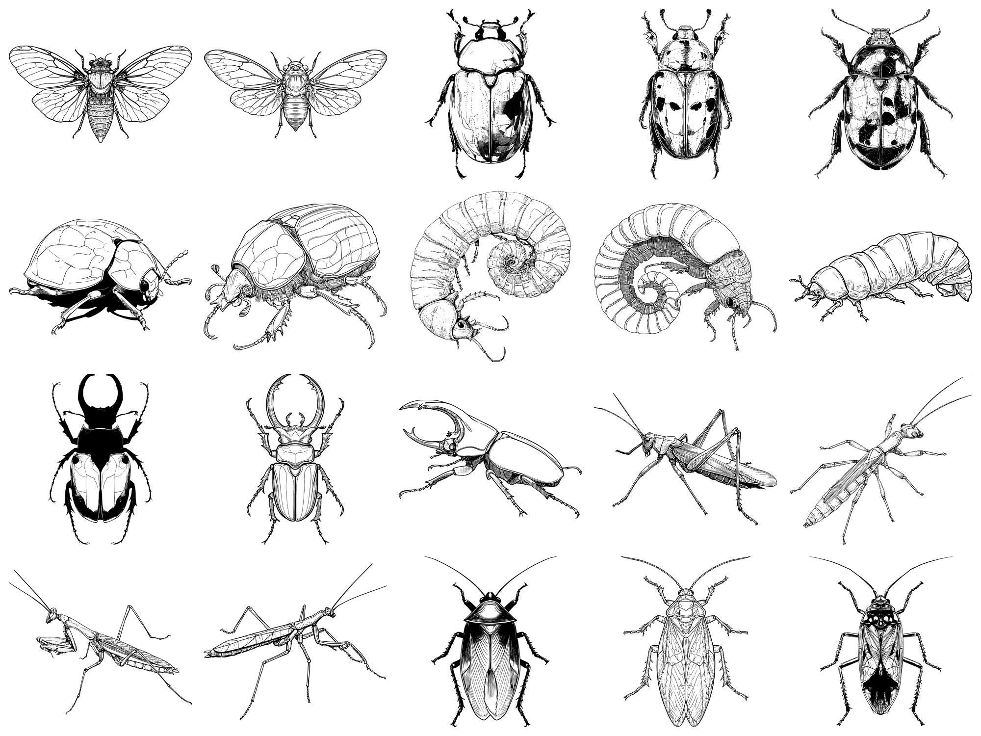 Insect Pet Realistic Photoshop Brushes & Procreate Stamps – 100+ Tattoo ...