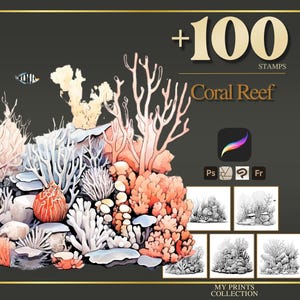 Timbri Procreate e pennelli Photoshop con tema barriera corallina: oltre 100 tatuaggi, illustrazioni, stencil, pennelli magici e stravaganti, paesaggi di case.