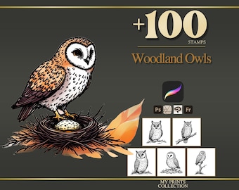 May include: A digital collection of over 100 Woodland Owls stamps featuring a barn owl perched on a nest with an egg. The graphic includes software icons for Procreate, Photoshop, and Fresco, along with five small black and white owl illustrations.