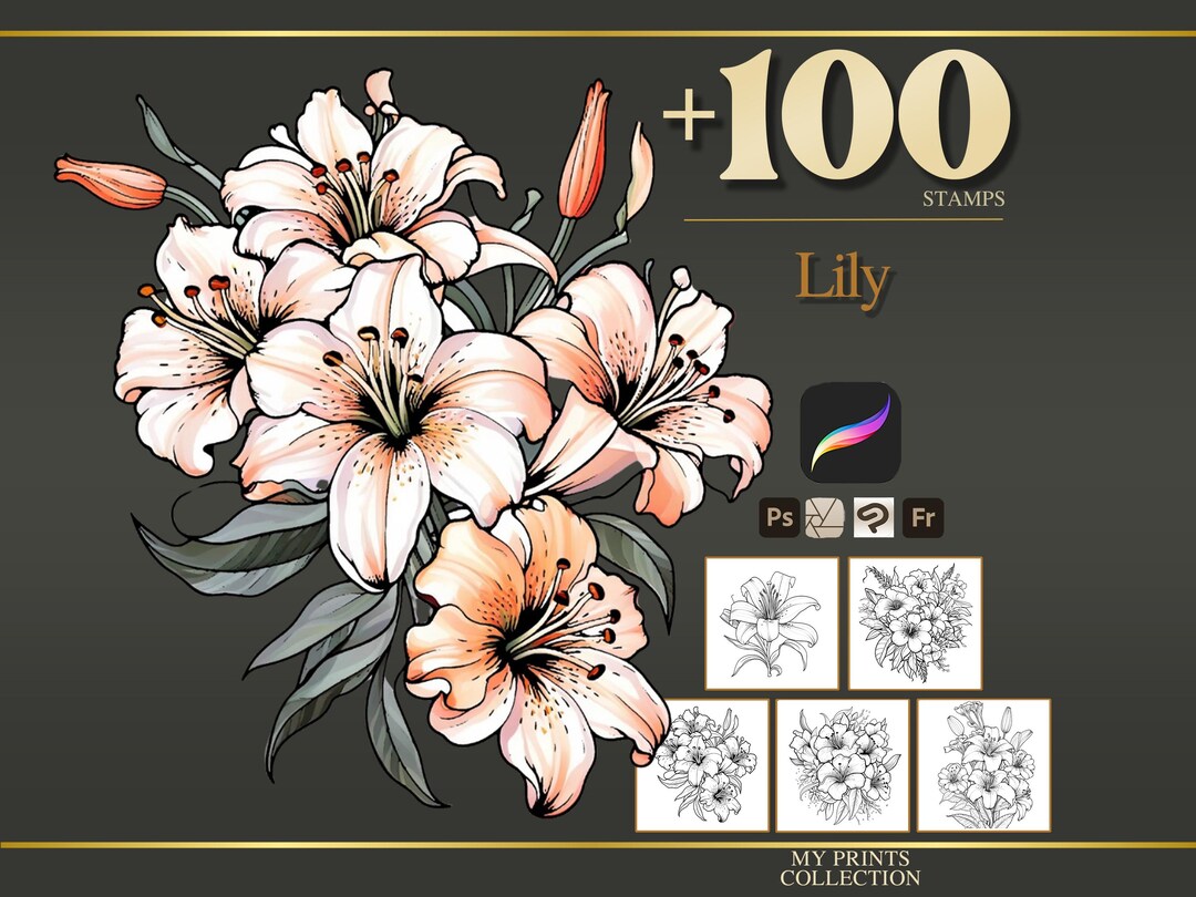 Lily Procreate Stamps & Photoshop Brushes – 100+ Flower Botanical ...