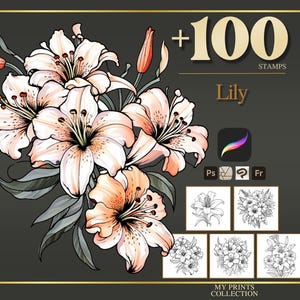 Tiger Lily Outline - Etsy
