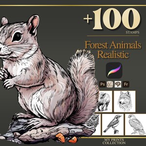 Tampons Procreate animaux réalistes de la forêt et pinceaux Photoshop - Plus de 100 tatouages, illustrations, art numérique, cliparts, dessins au trait, paquet de pinceaux