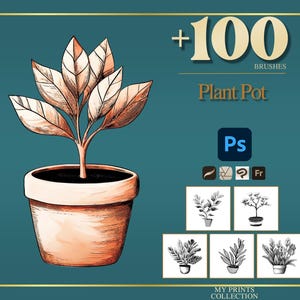 May include: An illustration of a plant in a terracotta pot with copper-colored leaves. The image includes the text "+100 BRUSHES Plant Pot" and icons for Photoshop and other design tools. A teal background with gold trim.
