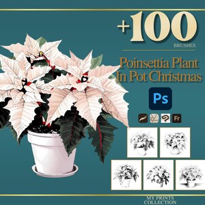 Pode incluir: Ilustração digital de uma planta de poinsétia num vaso branco, com folhas brancas e verdes. A imagem inclui o texto "+100 BRUSHES" e "Poinsettia Plant In Pot Christmas". O fundo é verde-azulado.