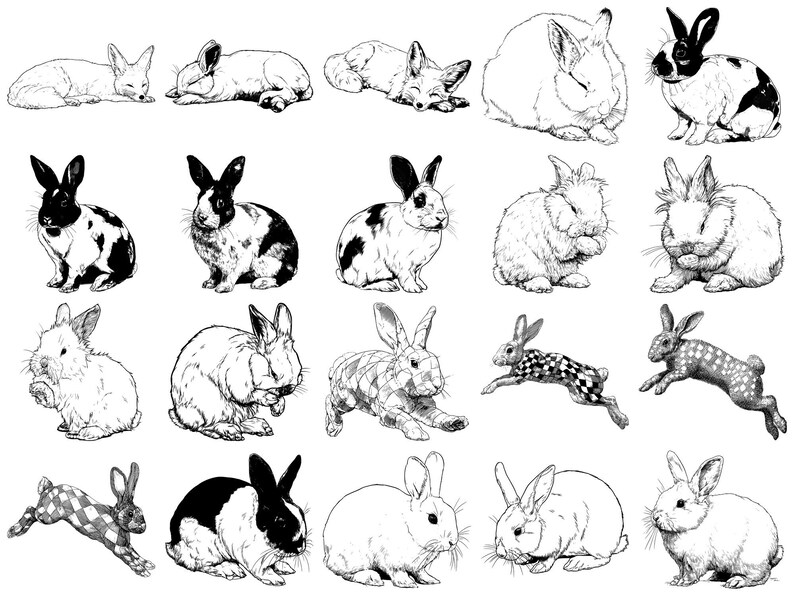 Photo Shop Rabit Rabbit Pet Realistic Procreate Stamps & Photoshop Brushes – 100+ Tattoo ...