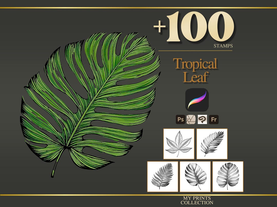 Tropical Leaf Procreate Stamps & Photoshop Brushes – 100+ Flower ...
