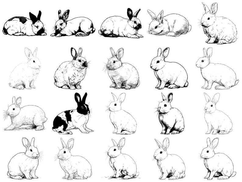 Rabbit Pet Realistic Procreate Stamps & Photoshop Brushes – 100+ Tattoo ...