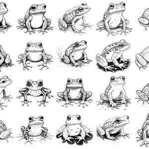 Frog Procreate Stamps & Photoshop Brushes – 100+ Realistic Animal Pet ...