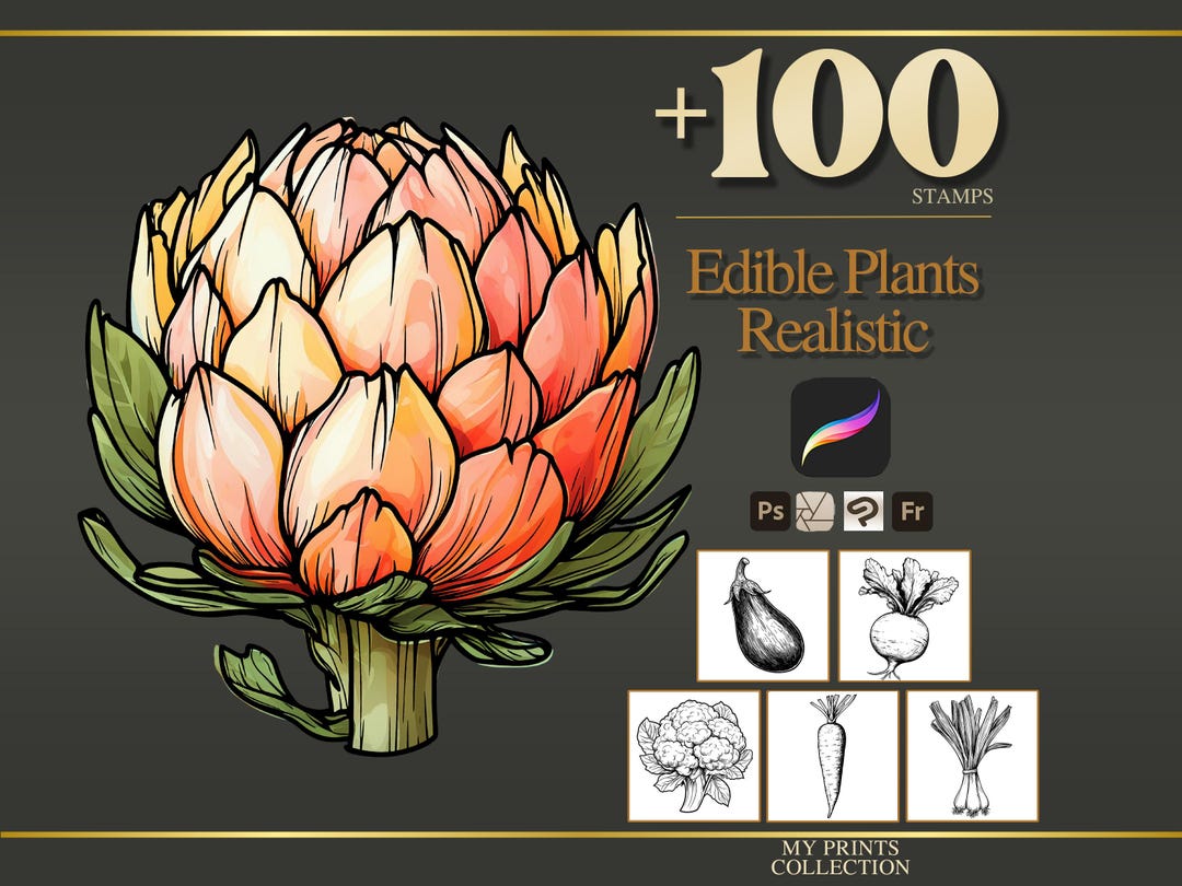 Edible Plants Realistic Procreate Stamps & Photoshop Brushes – 100 ...