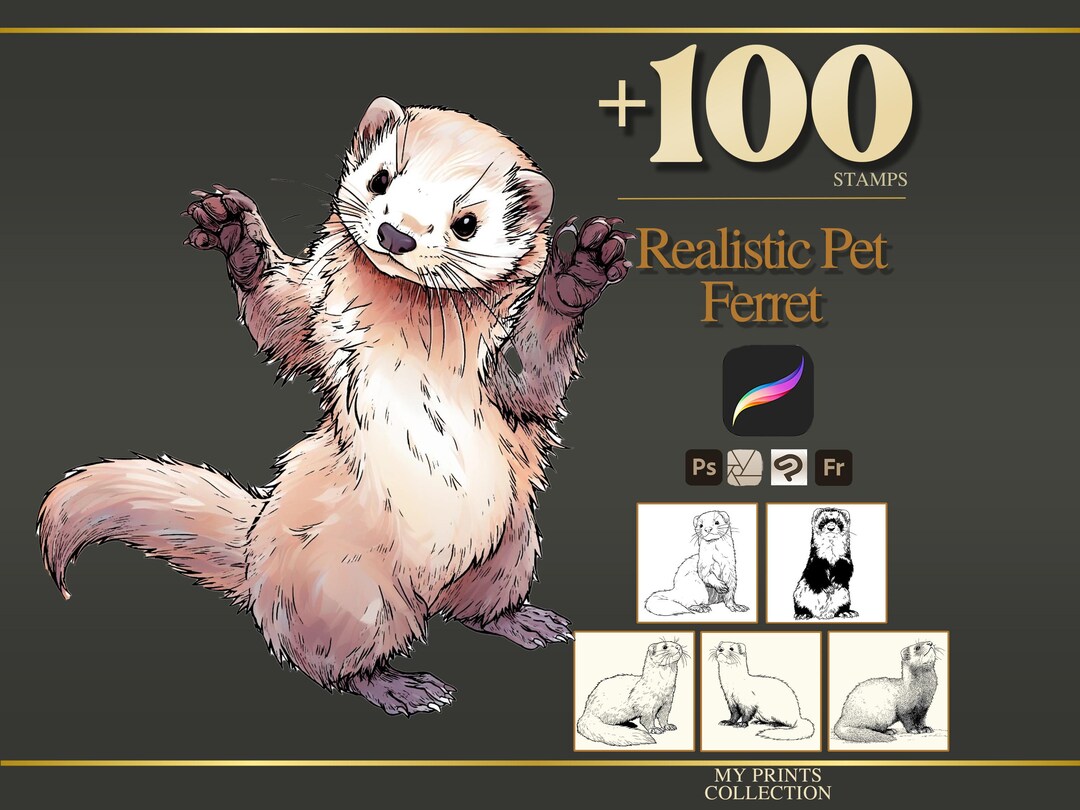 Ferret Pet Realistic Procreate Stamps & Photoshop Brushes – 100+ Tattoo ...