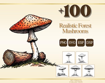 May include: A digital graphic featuring a large, orange-spotted mushroom next to a log, with the text +100 Realistic Forest Mushrooms, PNG, SVG, ESP, DXF, and My Prints Collection. Five smaller black and white mushroom illustrations are included.