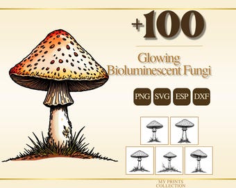 Glowing Bioluminescent Fungi PNG Clipart, 100+ Glowing Fungi Transparent Download, Fantasy Commercial Use SVG EPS Dxf