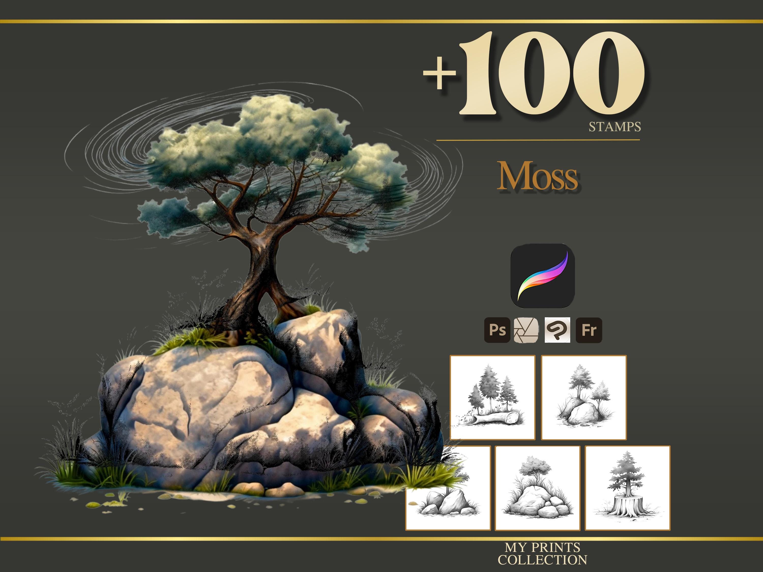 Moss Procreate Stamps & Photoshop Brushes – 100+ Place House Landscape ...
