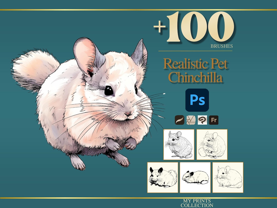 Chinchilla Pet Realistic Photoshop Brushes & Procreate Stamps – 100 ...