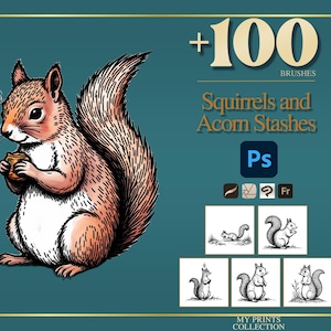 May include: A digital illustration of a brown squirrel holding an acorn on a teal background. The text reads +100 BRUSHES, Squirrels and Acorn Stashes, Ps, and MY PRINTS COLLECTION. Five small black and white squirrel sketches are displayed below.