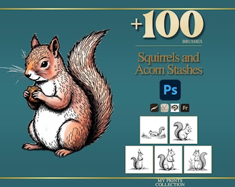 May include: A digital illustration of a brown squirrel holding an acorn on a teal background. The text reads +100 BRUSHES, Squirrels and Acorn Stashes, Ps, and MY PRINTS COLLECTION. Five small black and white squirrel sketches are displayed below.