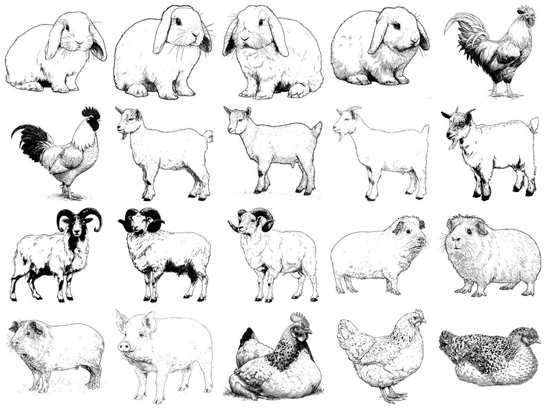 Farm Pet Realistic Photoshop Brushes & Procreate Stamps – 100+ Tattoo ...