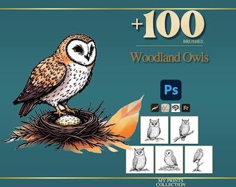 May include: A digital collection of 100 Woodland Owls brushes for Photoshop, featuring a colorful illustration of a barn owl in a nest with a speckled egg, alongside five black and white owl sketches and software icons on a teal background.