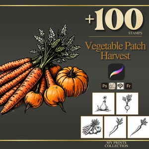 Peut inclure: Une collection numérique de 100 tampons intitulée Vegetable Patch Harvest, présentant des illustrations de carottes et de citrouilles orange. Le graphique inclut des icônes de logiciels comme Procreate et Photoshop, avec cinq petits carrés noir et blanc montrant divers dessins au trait de légumes.