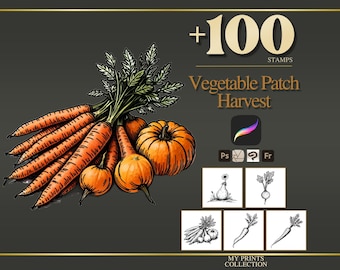 May include: A digital collection of 100 vegetable stamps titled Vegetable Patch Harvest, featuring illustrations of orange carrots and pumpkins. The graphic includes software icons for Procreate, Photoshop, and others, with five small black and white sample squares showing various vegetable line art designs.