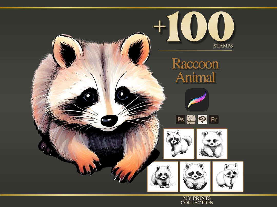 Raccoon Procreate Stamps & Photoshop Brushes – 100+ Realistic Animal ...