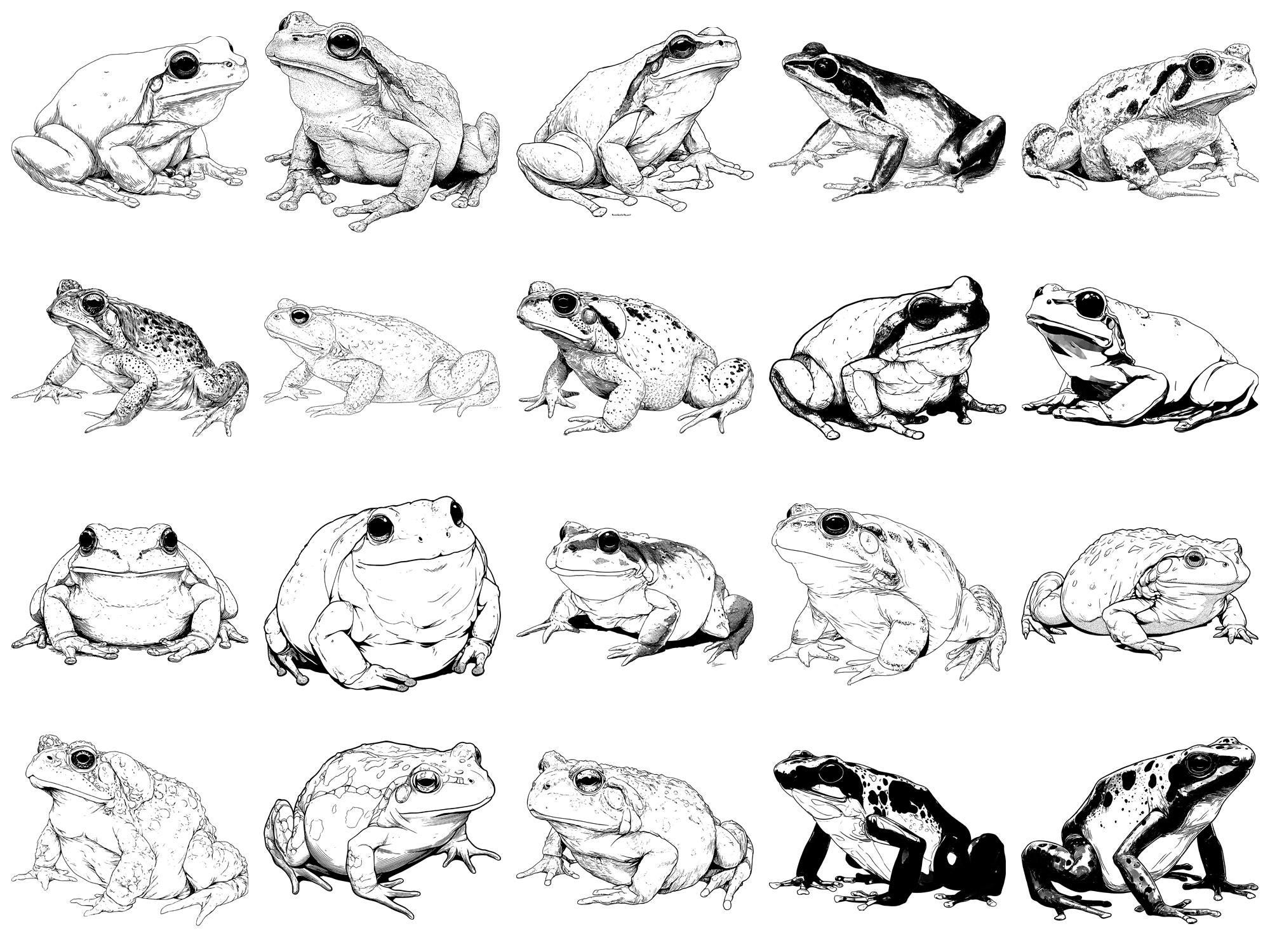 Frog Pet Realistic Photoshop Brushes & Procreate Stamps – 100+ Tattoo ...