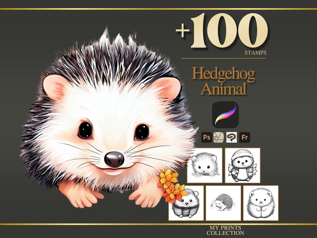 Hedgehog Procreate Stamps & Photoshop Brushes – 100+ Realistic Animal ...