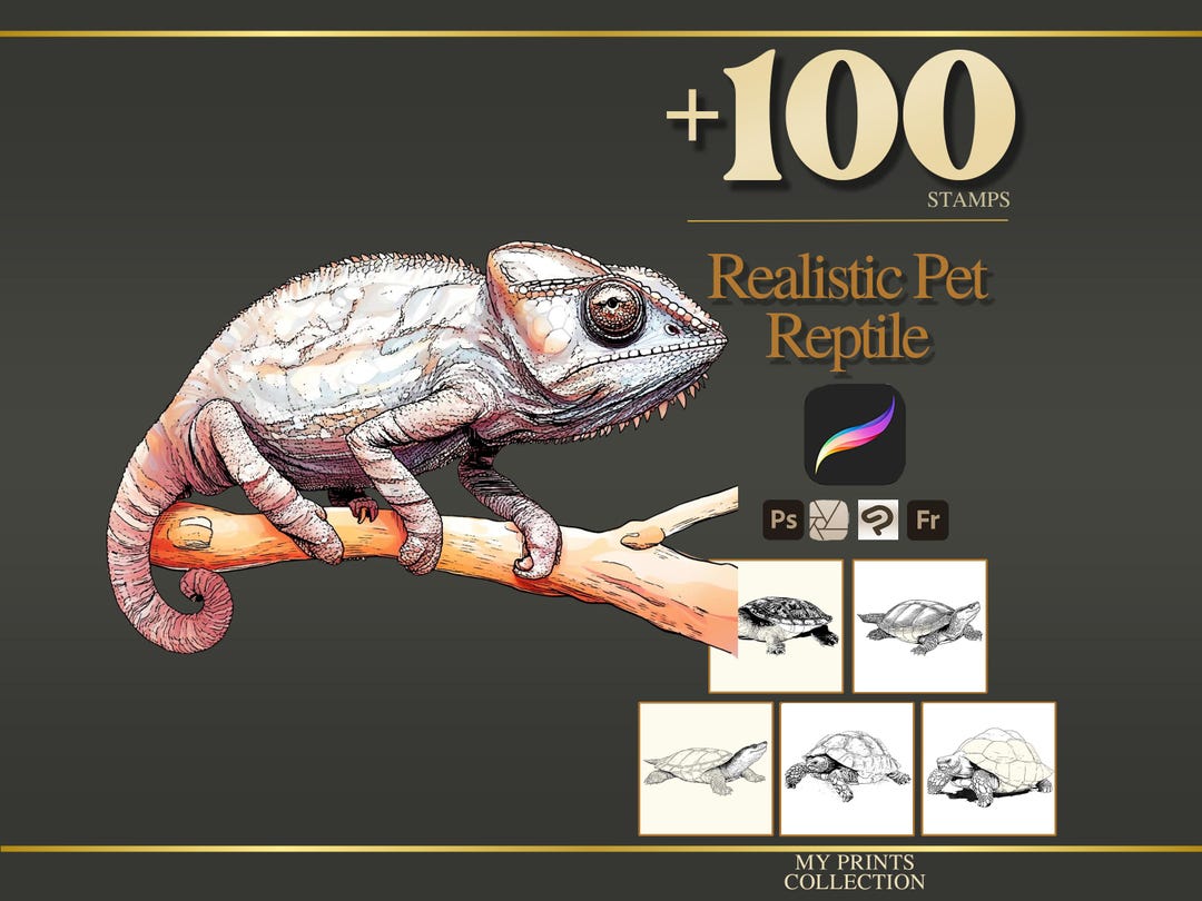 Reptile Pet Realistic Procreate Stamps & Photoshop Brushes – 100 ...