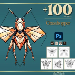 May include: A teal graphic with a geometric orange grasshopper illustration. The image includes the text "+100 BRUSHES Grasshopper Ps" and several small insect sketches. The overall theme is digital art resources.