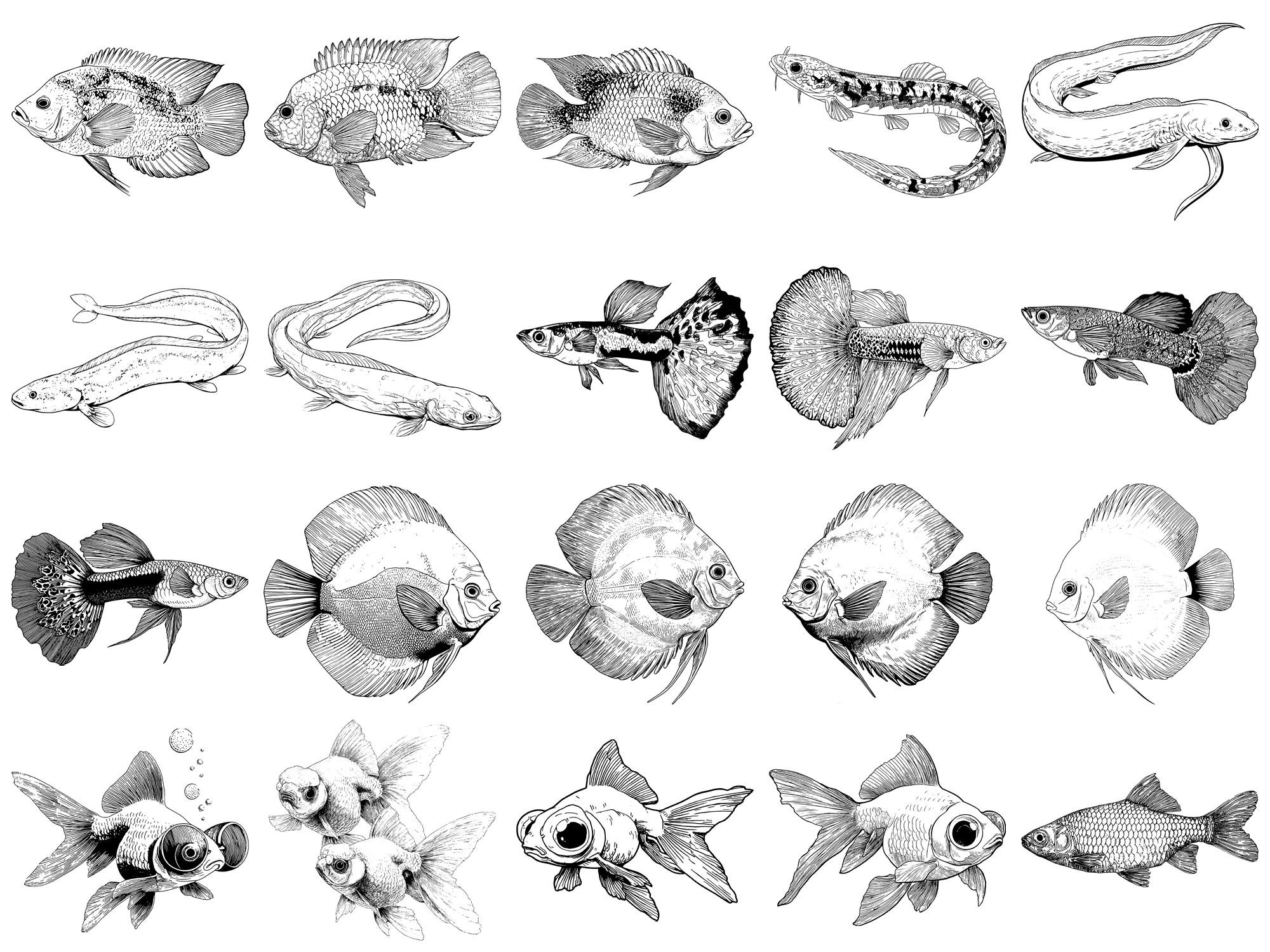 Fish Pet Realistic Photoshop Brushes & Procreate Stamps – 100+ Tattoo ...