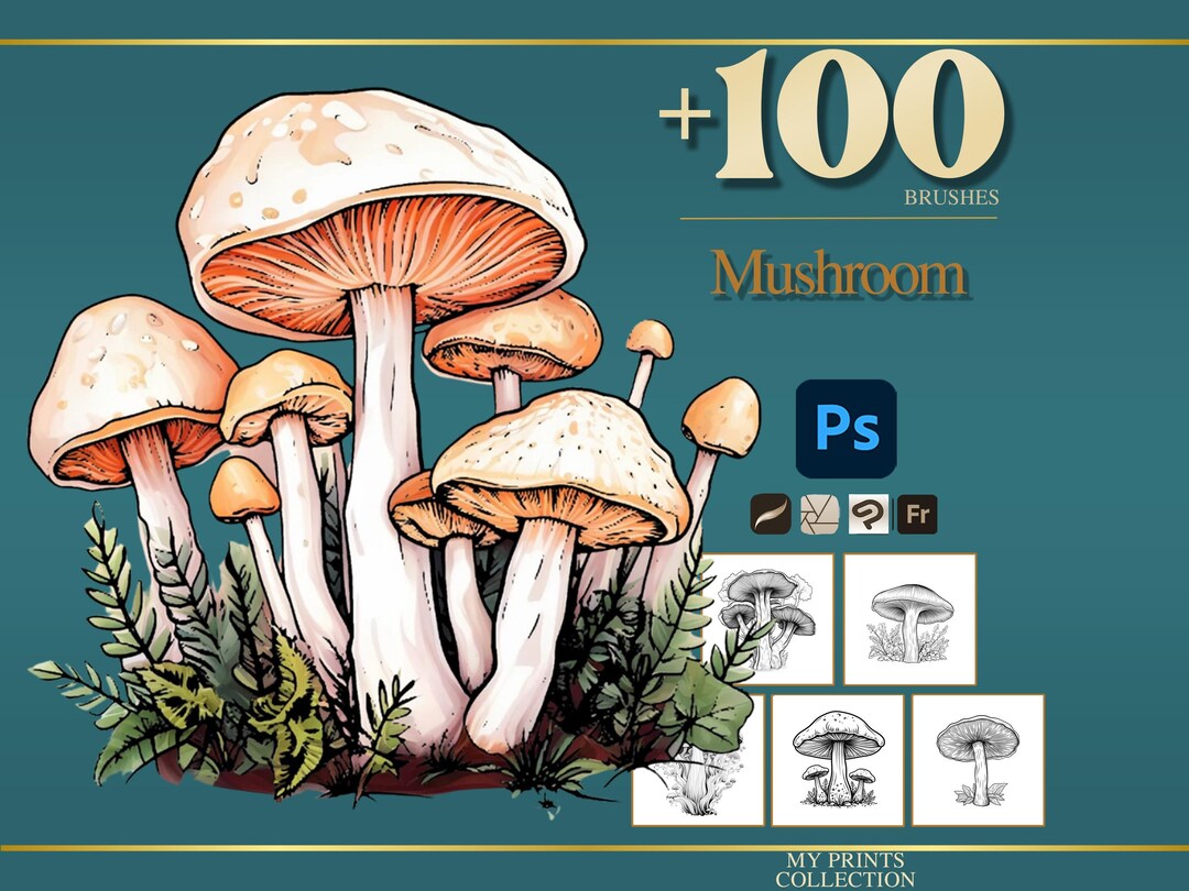 Mushroom Photoshop Brushes & Procreate Stamps – 100+ Flower Botanical ...
