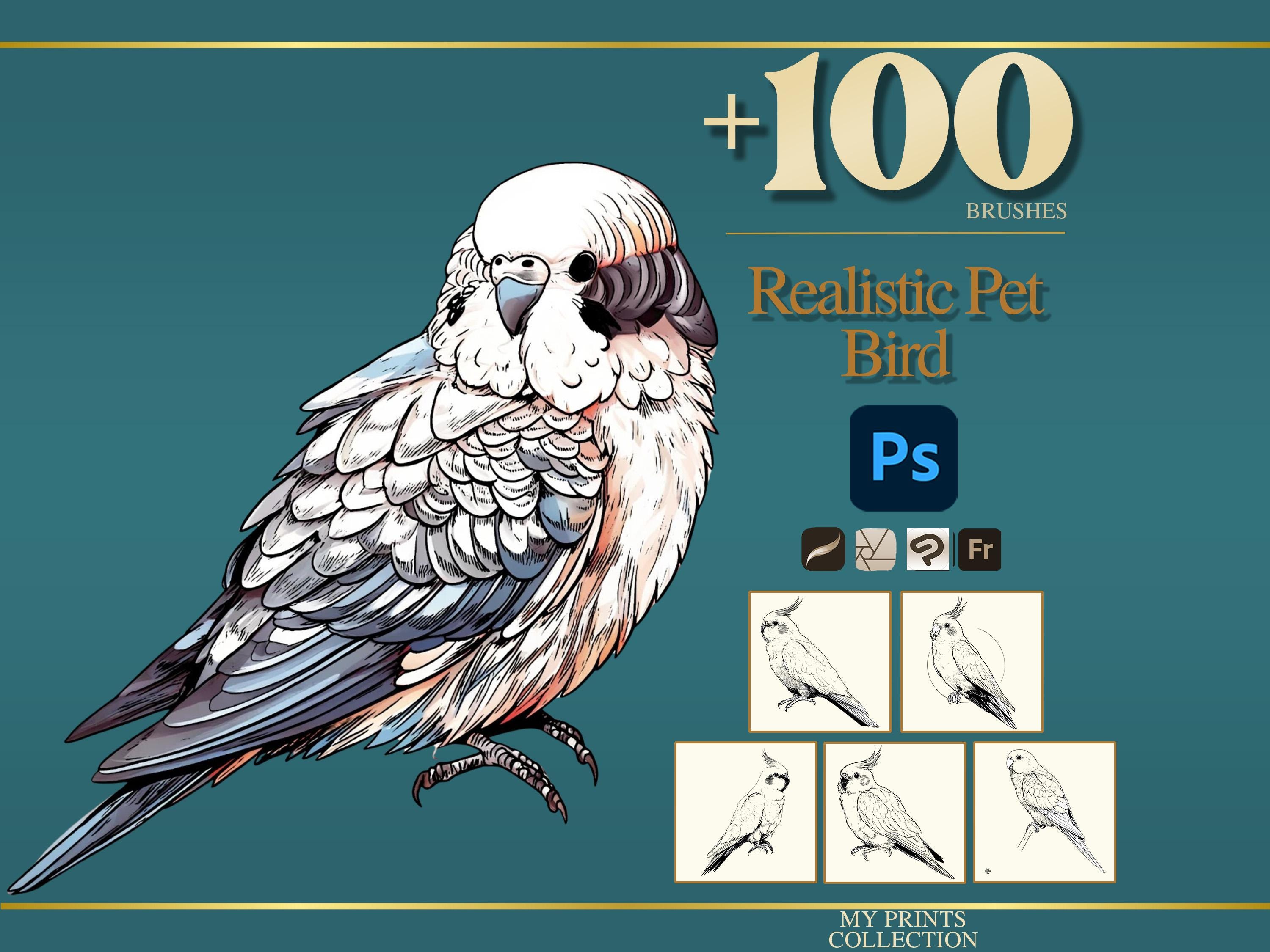 Bird Pet Realistic Photoshop Brushes & Procreate Stamps – 100+ Tattoo ...